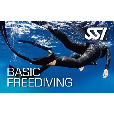 Kurz Basic Freediving